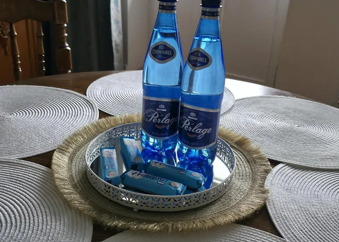 Appartement Prestige Piotrkowska 82 - Wyjatkowy Widok Na Deptak Łódź